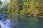 USA-Washington State-Olympic National Forest Duckabush River landscape Art Print
